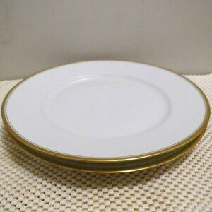 X2 Dinner Plates 9.75" Theodore Haviland Limoges White Gold Rings France